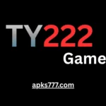 TY222 Game